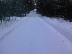 Trail headed towards RD 672